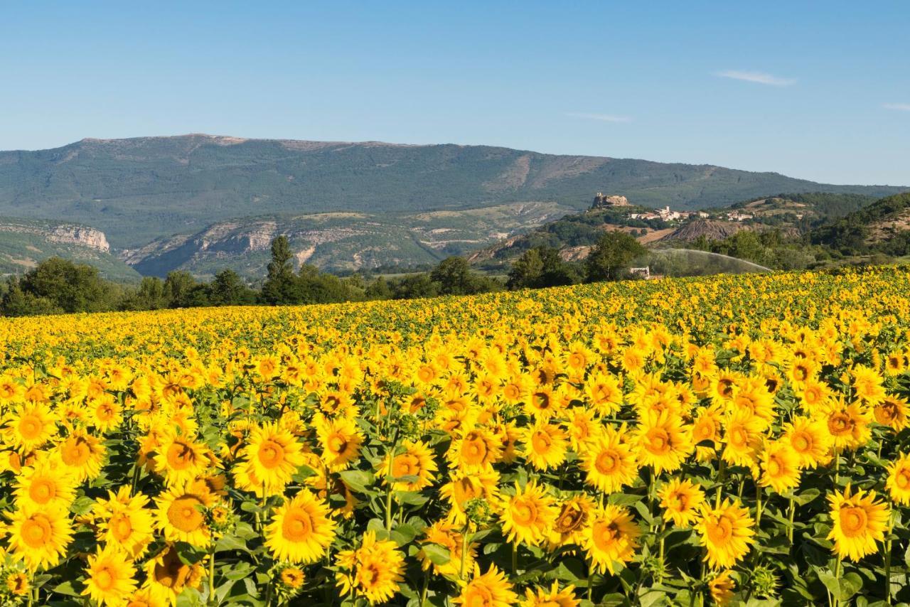 Serre Des Ormes - Cycling, Walking & Running Retreat Salerans ภายนอก รูปภาพ